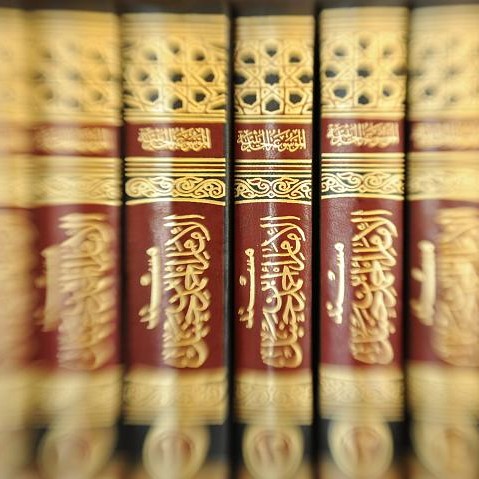 Middle East & Islamic Studies