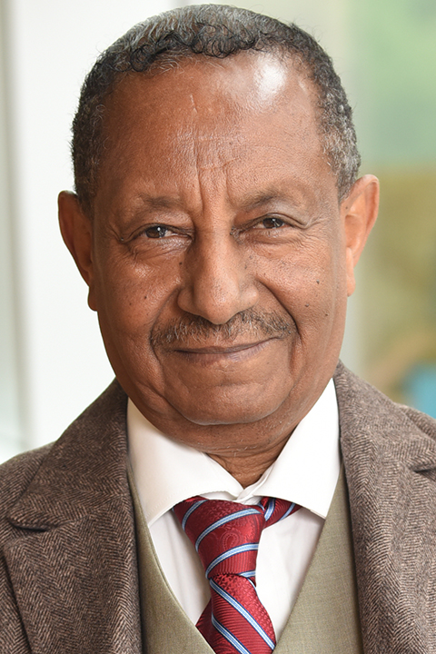 Abebe L. Tessema