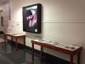 Warhol-Polaroids-exhibit-4-4-14-#2