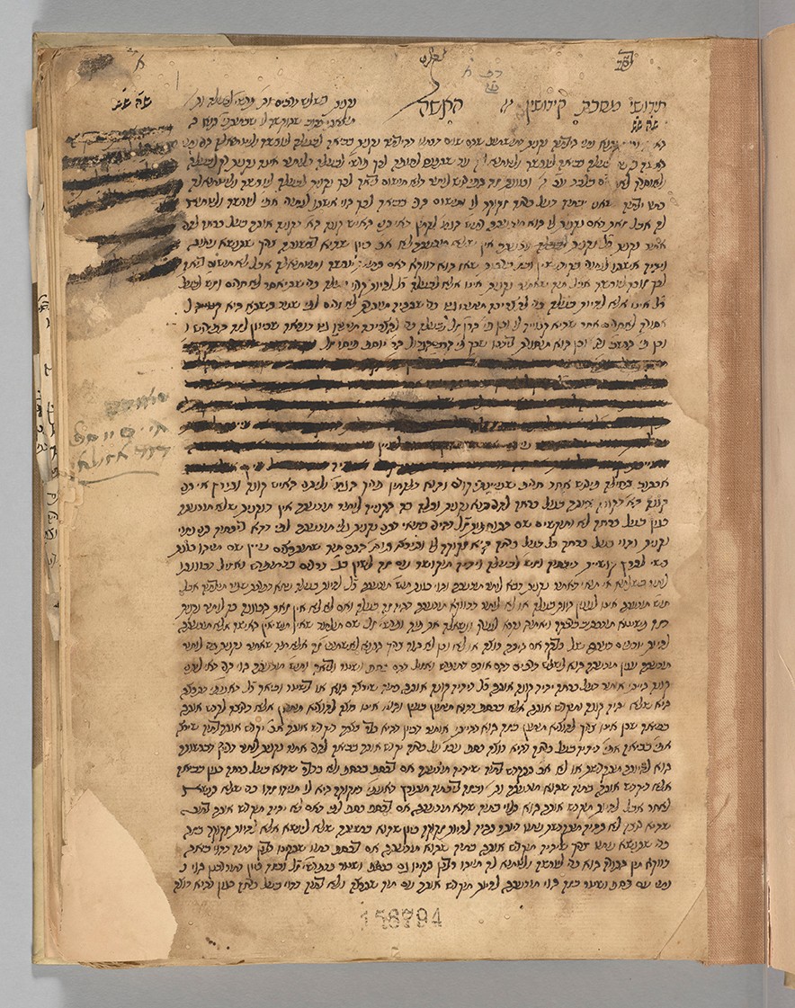 Hieronymus Tochtermann, [Specimens of illumnation and Calligraphy], 1754, p. 12. George Arthur Plimpton Manuscripts 093 1754