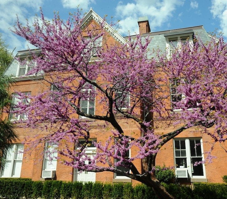 Buell Hall building exterior