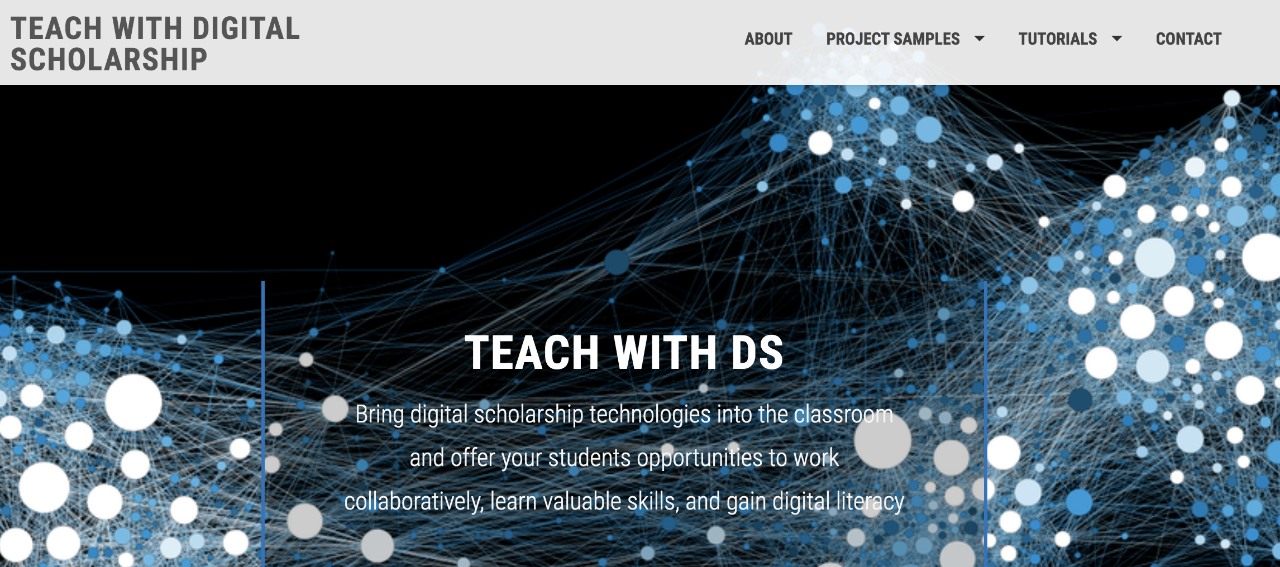 screenshot of teach with ds portfolio website